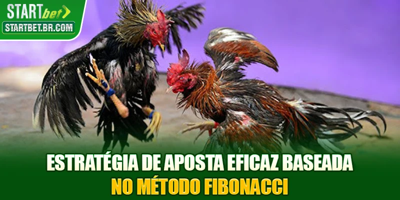 Estratégia de aposta eficaz baseada no método Fibonacci