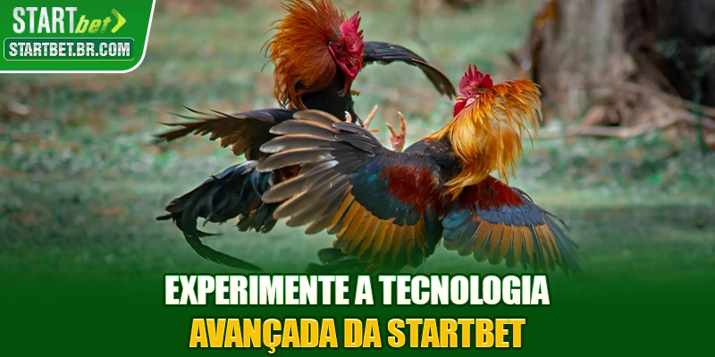 Experimente a tecnologia avançada da STARTBET