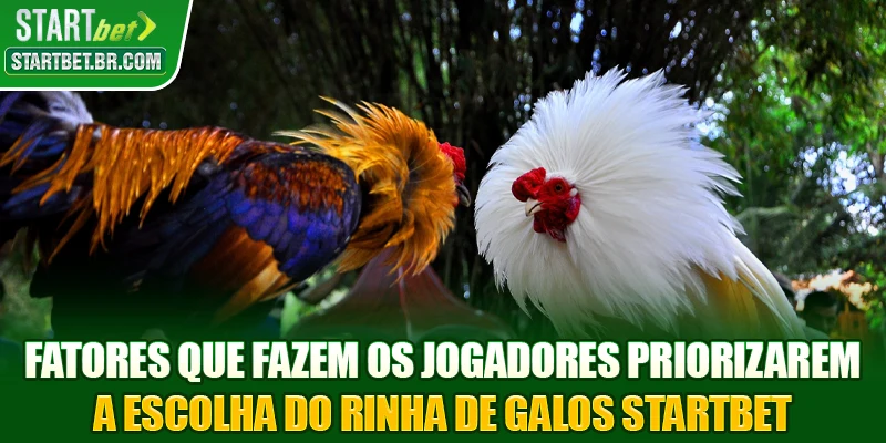 Fatores que fazem os jogadores priorizarem a escolha do Rinha de galos STARTBET