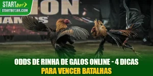 Odds De Rinha De Galos Online - 4 Dicas Para Vencer Batalhas