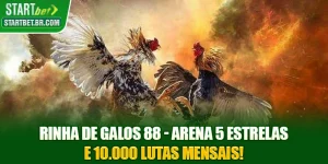 Rinha De Galos 88 - Arena 5 Estrelas E 10.000 Lutas Mensais!