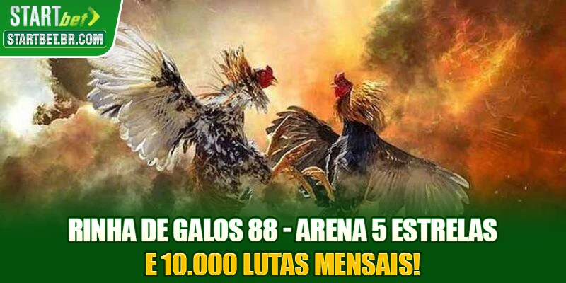 Rinha De Galos 88 - Arena 5 Estrelas E 10.000 Lutas Mensais!