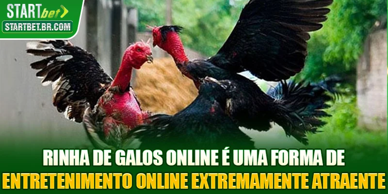 Rinha de galos online é uma forma de entretenimento online extremamente atraente