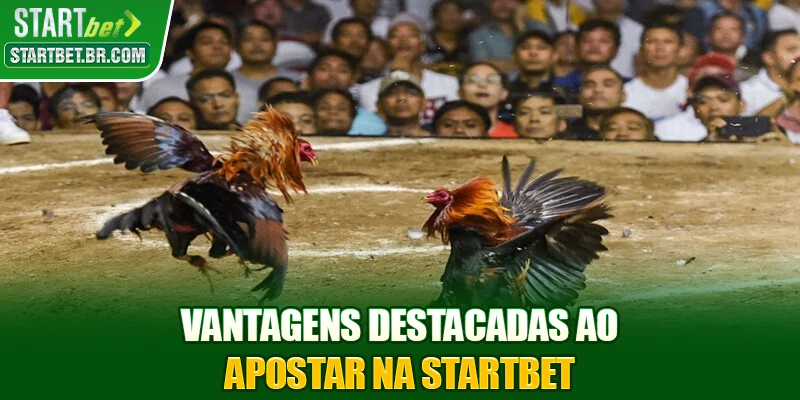Vantagens destacadas ao apostar na STARTBET